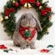 thumbnail image 5 of Adornos navideños, regalos navideños, bufanda navideña para mascotas, collar, lindos accesorios navideños para perros y gatos, collar de tela para mascotas, 5 of 6