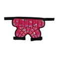 thumbnail image 4 of Pantalones Cortos Protectores de Cadera Acolchados para Niños, Pantalones Cortos Acolchados, Cojín EVA 3D, Equipo Protector de Esquí Ajustable para Pa Rojo, 4 of 8