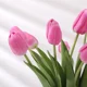 thumbnail image 5 of 3/5 Uds tulipán flores artificiales ramo de tacto Real decoración de flores falsas para suministros de boda decoración del hogar flores de San Valentín, 5 of 5