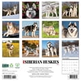 thumbnail image 2 of Siberian Huskies 2025 Wall Calendar, 2 of 4