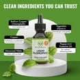 thumbnail image 4 of Benevolent Nourishment Liquid Chlorophyll Drops Herbal Supplement, Natural Mint, 2 fl oz, 4 of 9