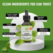 Benevolent Nourishment Liquid Chlorophyll Drops Herbal Supplement, Natural Mint, 2 fl oz