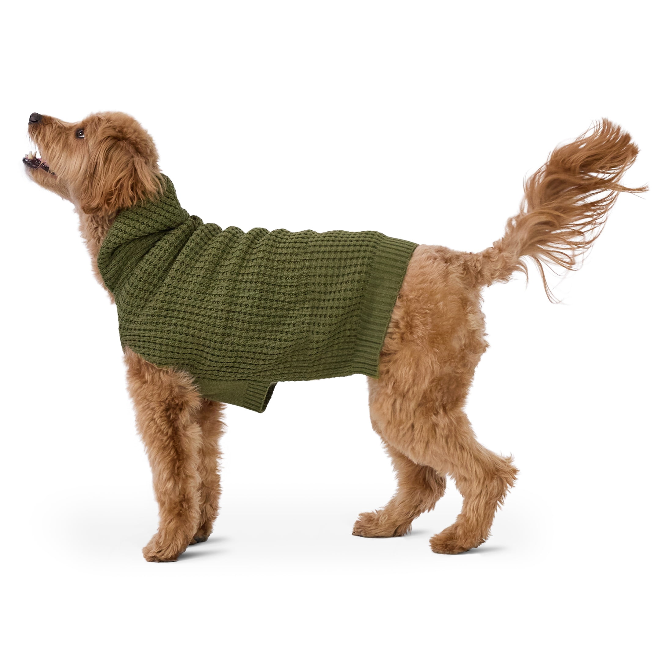 Vibrant Life Waffle Knit Sweater for Dogs, Green, M
