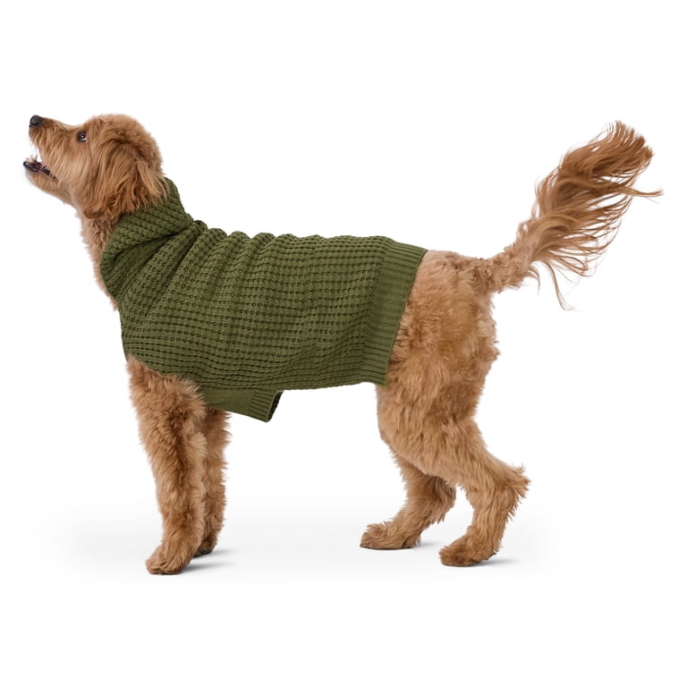 Vibrant Life Waffle Knit Sweater for Dogs with Hood, Green, M photo 5