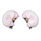 thumbnail image 3 of 2 pinzas para el pelo con orejas de oso, de peluche, para Halloween, anime y cosplay. blanco rosa, 3 of 9
