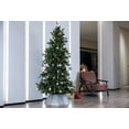 thumbnail image 6 of Northlight 27" Shiny Silver Fabric Hexagonal Christmas Tree Collar, 6 of 6
