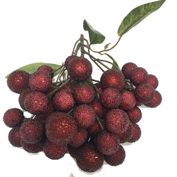Nvzi Artificial Fruits Pack, Fake Fruit Set Foam Fruit for Decor, Decorative Fruit for Home Party Vase Fillers Photography Props (Deep Red Yangmei，1pcs)