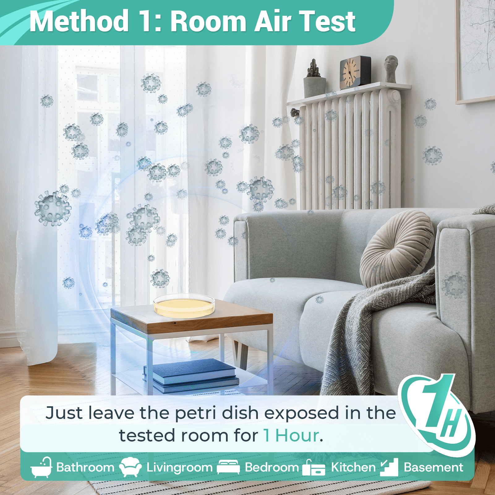 Mold Test Kit for Home Detection: 12 Simple DIY Hong Kong | Ubuy