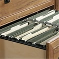 thumbnail image 6 of Sauder Palladia Engineered Wood 2-Drawer Lateral File Cabinet in Wind Oak, 6 of 8