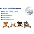 PetSilver Cough & Immune, Kennel Cough, Dog Allergy Relief, Respiratory