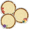 thumbnail image 1 of Carson Dellosa CD-120234-3 Nature Colorful Cutouts Wood Slices Explorer - Pack of 3, 1 of 1
