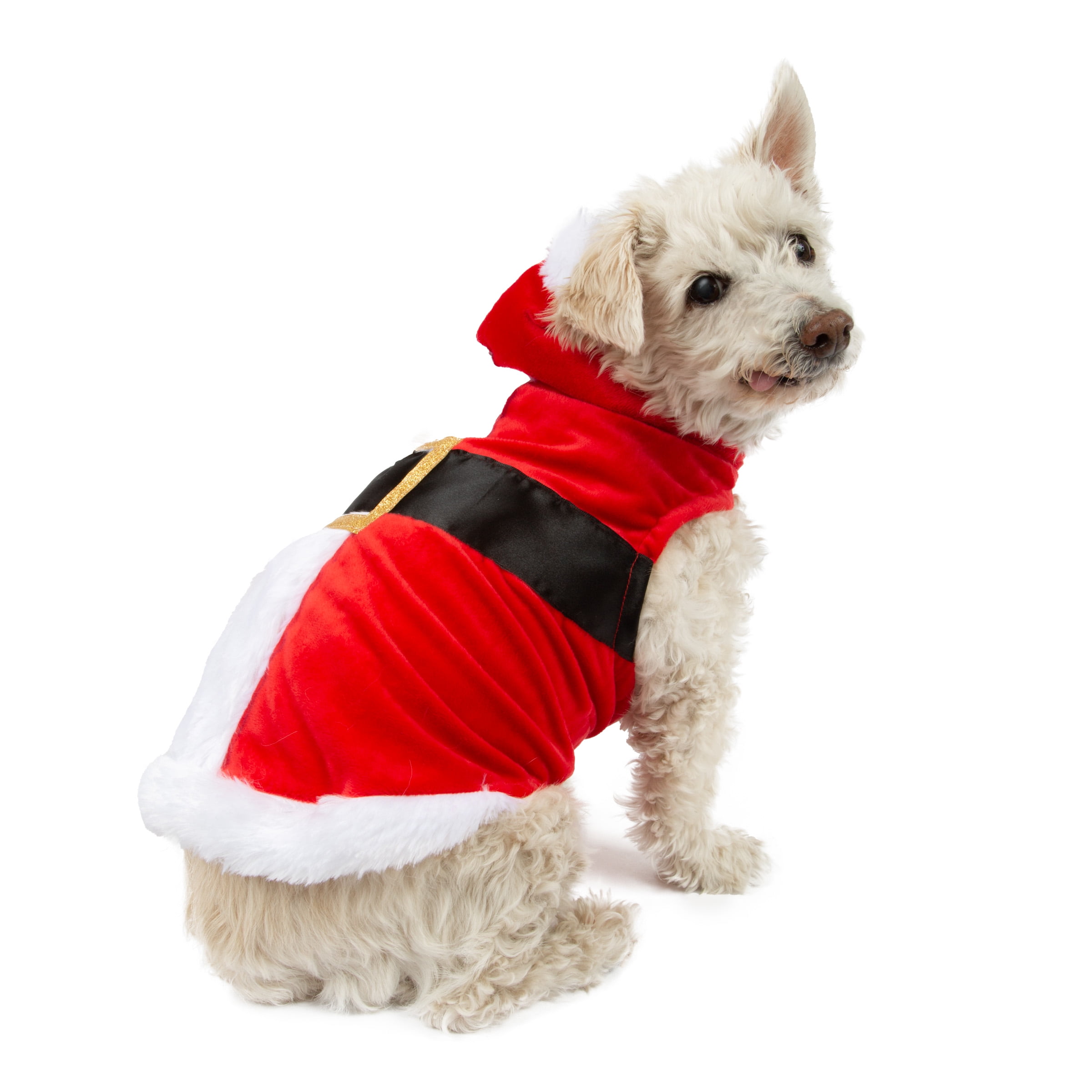 sachin and babi light blue dress Buy Dog Christmas Outfit Online In India