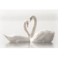 thumbnail image 2 of Schwager, Monika 24x17 White Modern Wood Framed Museum Art Print Titled - Forever, 2 of 4