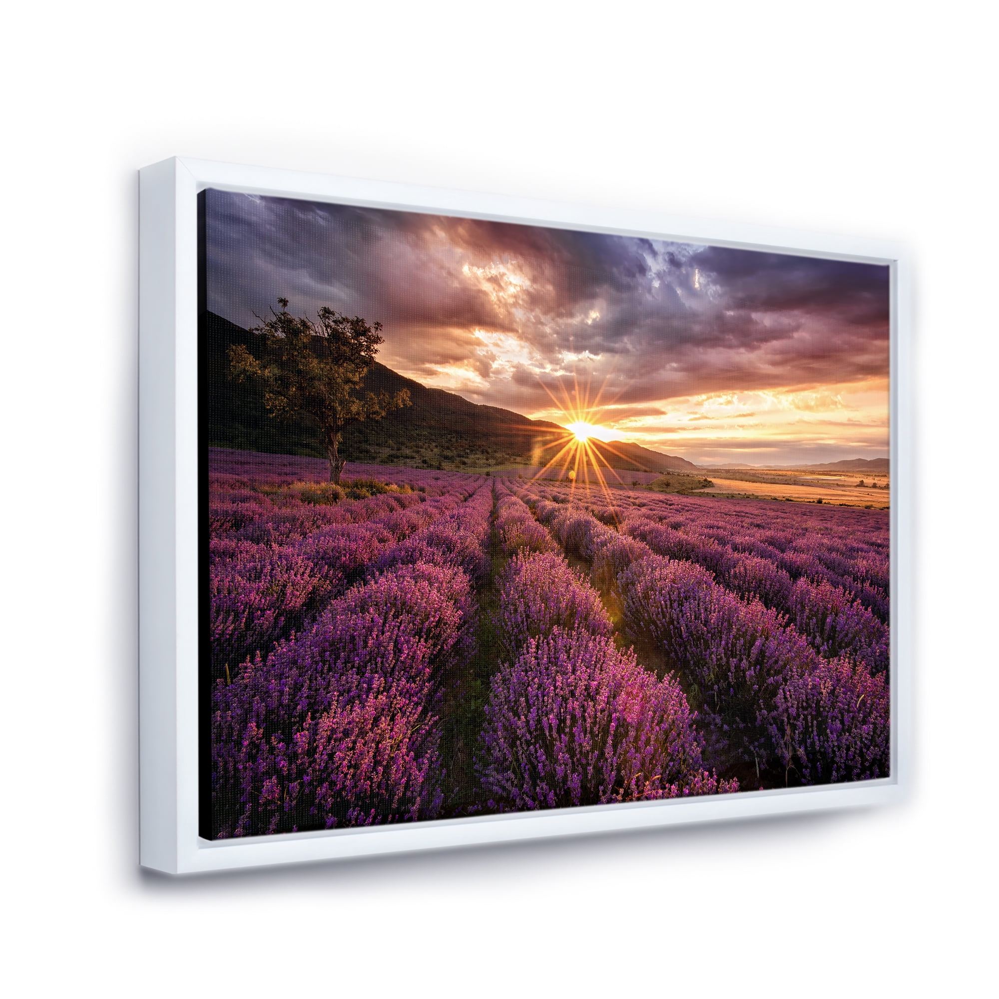 Designart 'Dramatic Clouds and Sunrise Over Lavender Field IV' Farmhouse Framed Canvas Wall Art Print