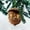 K, variant on Forest Animal Acorn Ornaments, 2D Flat Acrylic Woodland Creature Figurines Inside Acorns, Rustic Christmas Tree Decorations for Holiday Home Party Decor(1PCS, N)