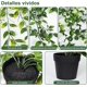 thumbnail image 2 of Plantas Colgantes Artificiales de plástico, Paquete de 3 Piezas, eucalipto, vainas de Guisantes y Datura, para Sala, Dormitorio, baño, Oficina y Exteriores, 2 of 4