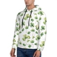 thumbnail image 3 of Rateoe St Patrick's Day3 Pattern Mens Hoodie, Pullover Hooded Sweatshirt, Kangaroo Pocket Hoodie Ideal for Daily Wear, Travel and Home-Small, 3 of 7