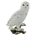 thumbnail image 1 of Beautiful Snowy Owl on a Branch Statue, 1 of 4