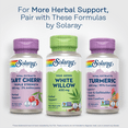 thumbnail image 6 of SOLARAY White Willow 400mg - White Willow Bark Capsules - Wellness Support - Herbal Supplement w/ Naturally Occurring Salicin, Non-GMO, Gluten Free, Vegan, 60-Day Guarantee, 100 Servings, 100 VegCaps, 6 of 6