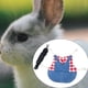 thumbnail image 5 of Chaleco , arnés, chaqueta transpirable multiusos, para proteger para conejillo de , suministros para mascotas - rojo, L L Colco Arnés de conejo, 5 of 8