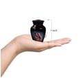 thumbnail image 5 of Set of 2 Mini Music Urn for Ashes for Men & Women – Violin Keepsake Urns for Human Ashes Adult Male & Female – 3-Inch Small Memorial Containers for Loved Ones Who Loved Music (3 inch set of 2), 5 of 8