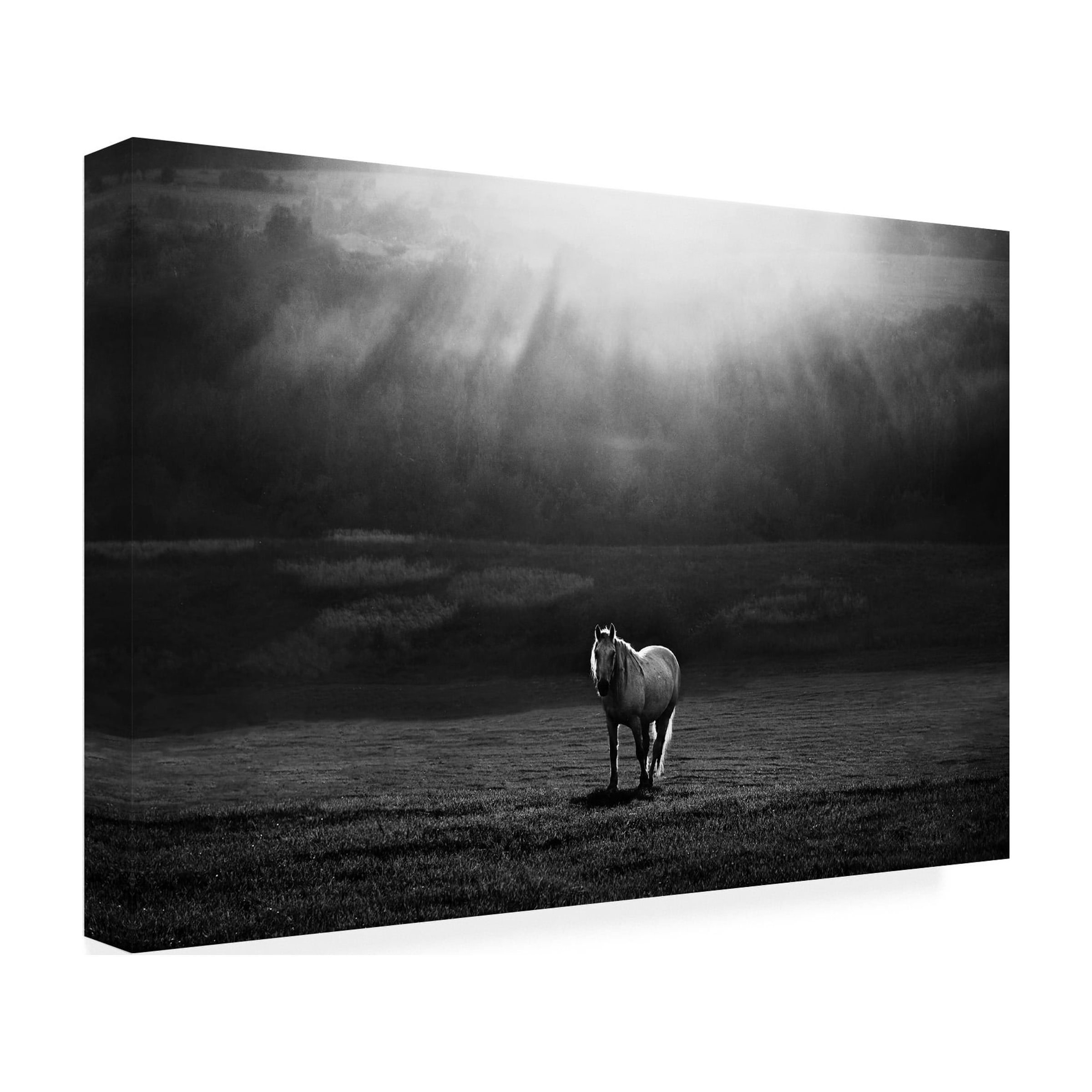 Peter Svoboda 'Morning Appearance' Canvas Art