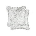 thumbnail image 1 of COUSSIN EN FAUSSE FOURRURE BELTON 18"X18" 2 PQT, 1 of 5