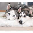 thumbnail image 3 of Paw Brands Dog Bed Faux Fur Memory Foam Pet Bed White Curve 60L X 35w inches, 3 of 7