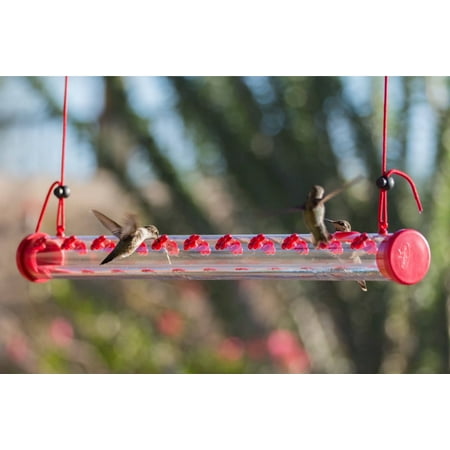 Ultimate Hummingbird Feeder With 22 Nectar Ports One Of A Kind