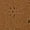 Brown, variant on Aricy Womens Summer Tops Short Sleeve Shirts Button V Neck T Shirts Hollow Out Eyelet Tunic Blouses Dressy Casual Blouses Trendy Loose Fit Tees Shirt Going Out Tops