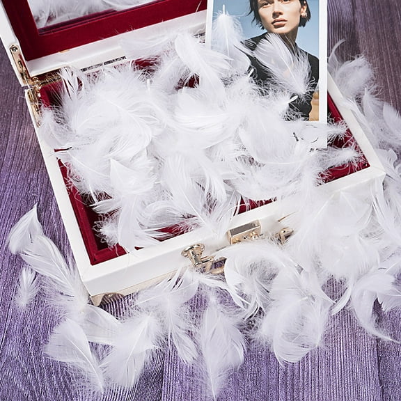 XmhyTop-A 100PCS Fake Goose Craft Feathers - Soft, Natural-Look Feathers for DIY Arts, Decor & Crafts-White
