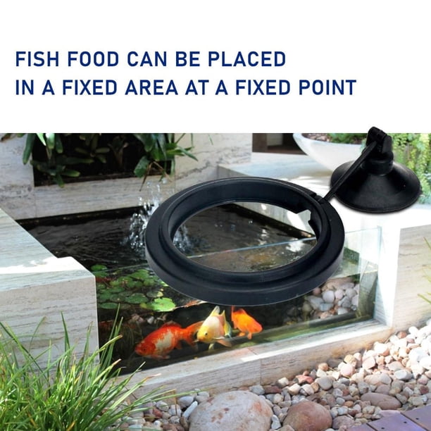 Square/círculo Accesorio Agua Caza de succión Anillo de alimentación Aquarium Estación de peces flotante Alimentador de bandeja de alimentos flotantes