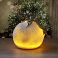 thumbnail image 4 of Wzzjkit Lanterne d'Halloween Extérieure Dessinée à la Main Fleur Lumineuse Décoration Intérieure, 4 of 9