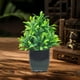 thumbnail image 5 of Planta en maceta verde artificial | Ramo de plástico realista 7.87in | Decoración interior del hogar TV Cabinet Table Arrangements | Base ponderada sin mantenimiento | Boda, Oficina, Exhibición, 5 of 6