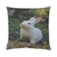 thumbnail image 2 of Ahgly Company Animals Rabbit Indoor Throw Pillow, 18 inch by 18 inch, 2 of 6