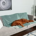 thumbnail image 6 of FurHaven Celadon Green Velvet Throw, 60” x 50”, 6 of 12