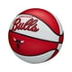 thumbnail image 3 of Balón NBA Mini Retro Bulls multicolor Estandar, 3 of 6