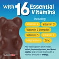 thumbnail image 2 of YUM-V'S Chocolate Bears Chewable Multivitamins for Kids with 16 Vitamins and Minerals, 60 Count, 2 of 7