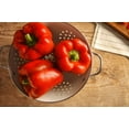 thumbnail image 6 of 150 Seeds Yolo Wonder Sweet RED BELL PEPPER Capiscum Annuum Vegetable Seeds, 6 of 9