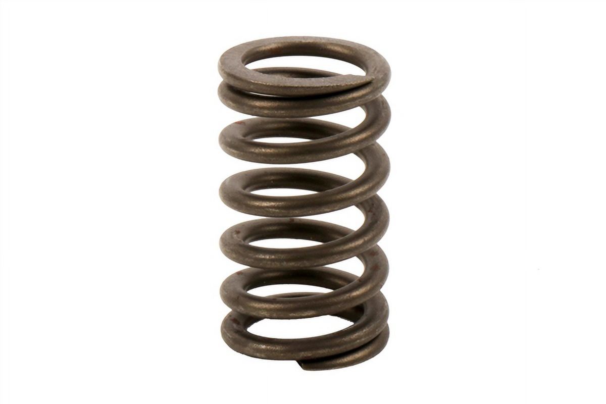 GM Genuine Parts Engine Valve Spring