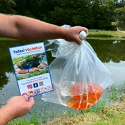 Goldfish Pond Pack #3 (Includes Shubunkins & Comets) by Toledo Goldfish