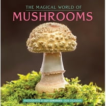The Magical World of Mushrooms Wall Calendar 2026, (Paperback)