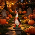 thumbnail image 4 of Halloween Porch Goose Outfit Witch Geese Costume 23 Inch for Yard Lawn Outdoor Garden Patio, 4 of 6