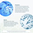 thumbnail image 5 of Youtheory | Spore Probiotic Powder Advanced, White, 3.45 Oz. Suplemento alimenticio., 5 of 5