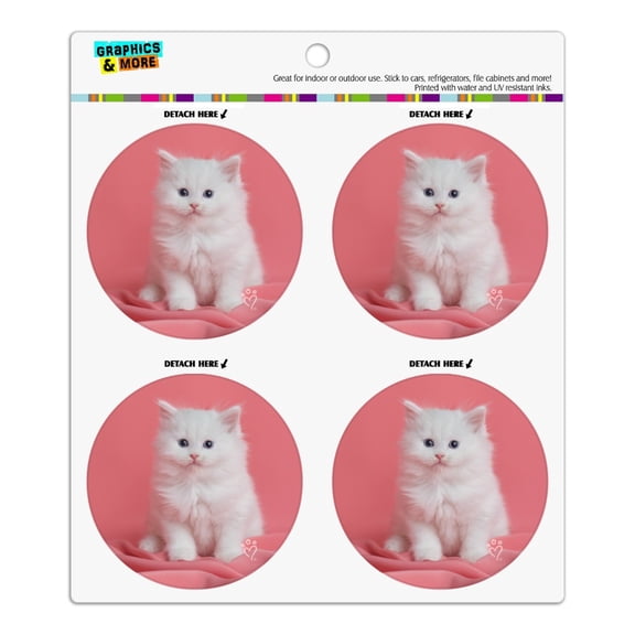 Persian Cat White Kitten on Fuchsia Refrigerator Fridge Locker Vinyl Circle Magnet Set