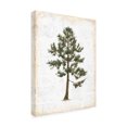 thumbnail image 2 of Emily Adams 'Into the Woods Trees I' Canvas Art, 2 of 3