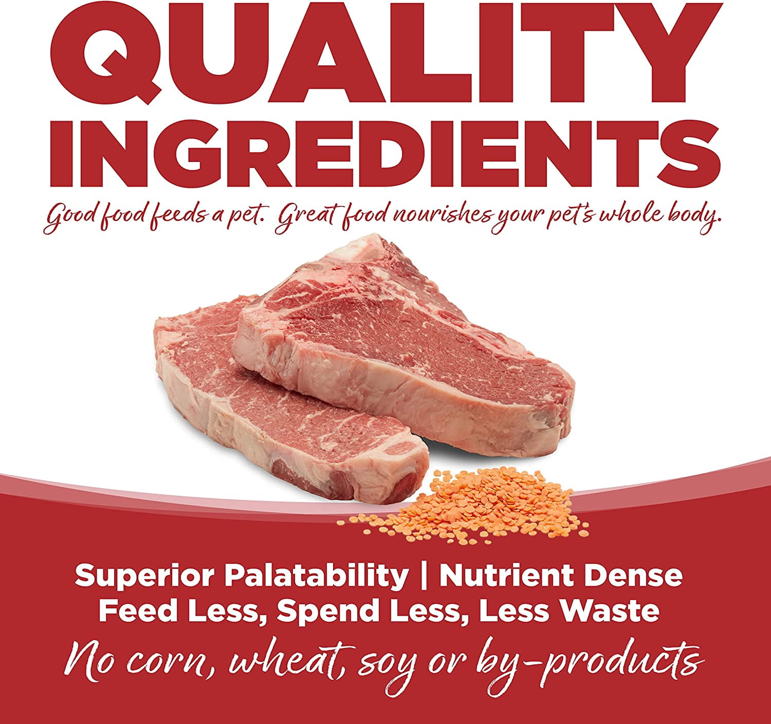NutriSource Pure Vita Limited Ingredient Grain Free Dry Dog Food, Beef and Red Lentils, 25LB