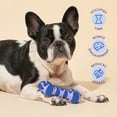 thumbnail image 3 of Oodles Durable Textured Rubber Ball and Bone Dog Toy Set, Purple, One Size, 3 of 9
