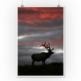 thumbnail image 2 of Elk and Sunset (9x12 Wall Art Print, Home Decor), 2 of 3