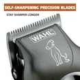 thumbnail image 3 of Wahl Pet Pro+, Heavy Duty Low Noise Quiet Dog Clipper - 9315, 3 of 14